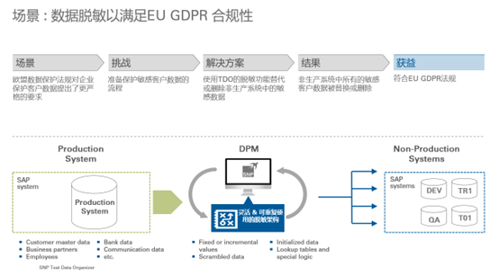 SAP数据脱敏方法SNP 测试数据管理器数据脱敏