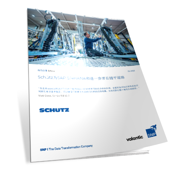 高质量运输包装制造商Schütz为迁移SAP S/4HANA和进一步增长铺平道路