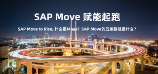 SAP Move to Rise, 什么是Move?  SAP Move的五条路径是什么？