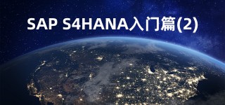 SAP S/4HANA 入门篇(2)-组织单元、主数据、文档