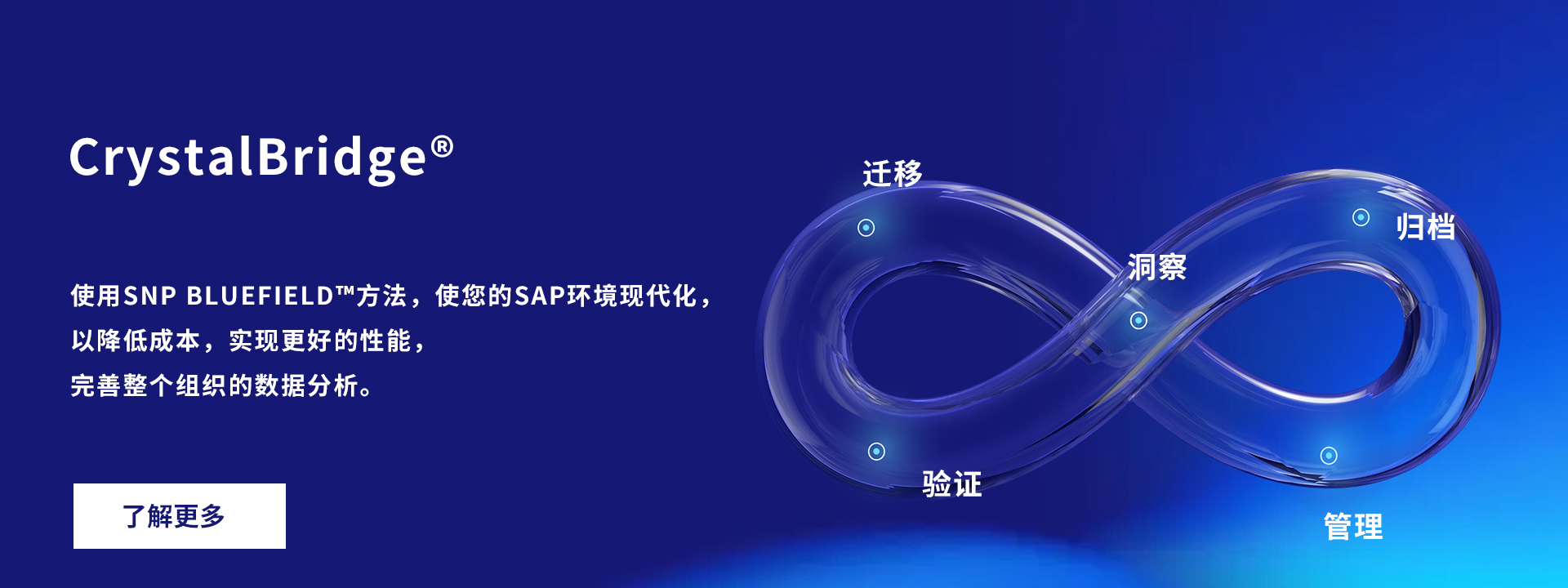 SNP 2024 转型世界大会——共创共赢
