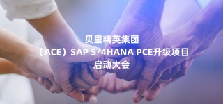 贝里精英集团（ACE）SAP S/4HANA PCE升级项目启动大会顺利召开