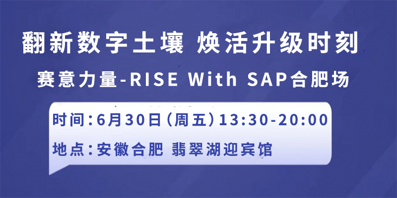 2023“赛意力量”& “SNP” 城市沙龙– RISE with SAP 合肥场