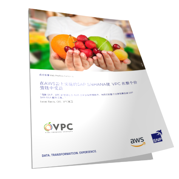 食品生产和销售公司VPC在AWS云上为多个地区和集团公司实施SAP S/4HANA