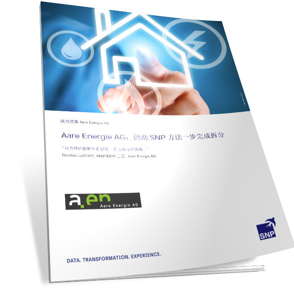 能源公司Aare Energie AG：借助 SNP 方法一步完成SAP系统拆分