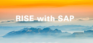 RISE with SAP：一站式服务体验，解决 N 个企业难题
