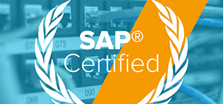 SAP发布合作伙伴实施能力评级，SNP被评专家级实施商