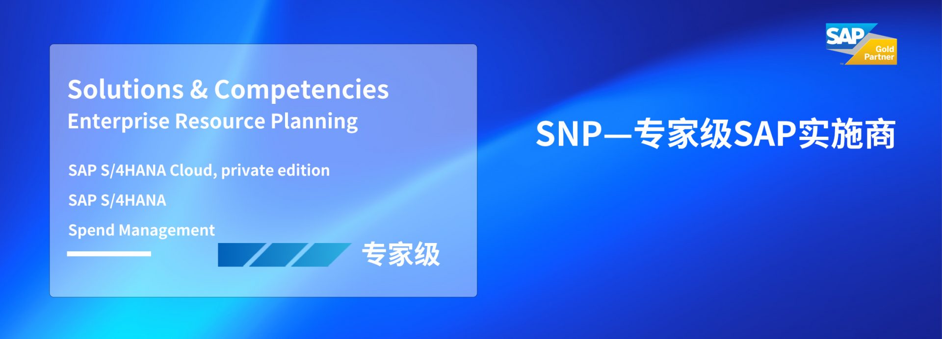 SAP实施商认证专家级