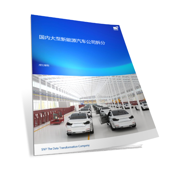 国内大型新能源汽车公司拆分