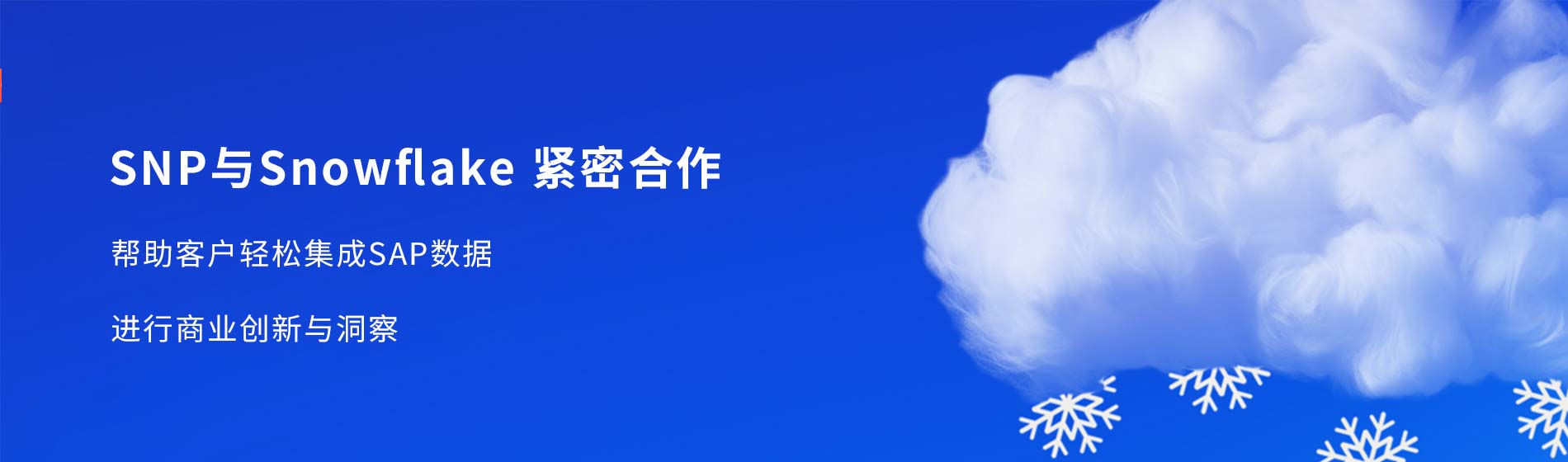 SNP与Snowflake 紧密合