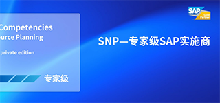 如何评估SAP升级实施商的专业能力？