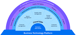 SAP Business Suite 是什么？