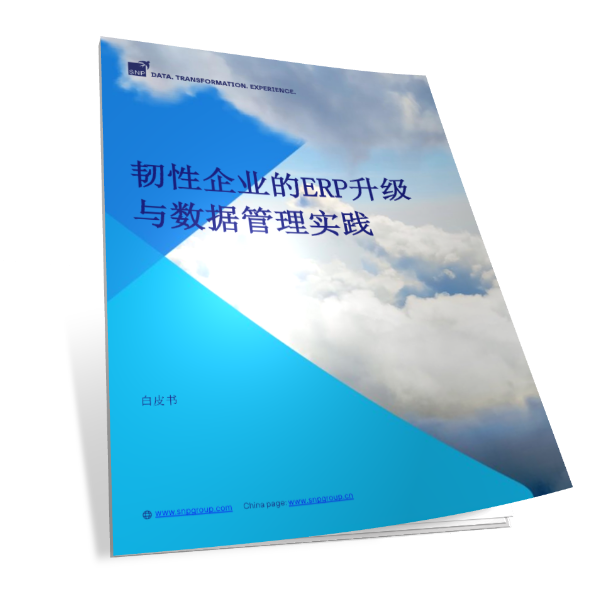 白皮书：韧性企业的ERP升级与数据管理实践