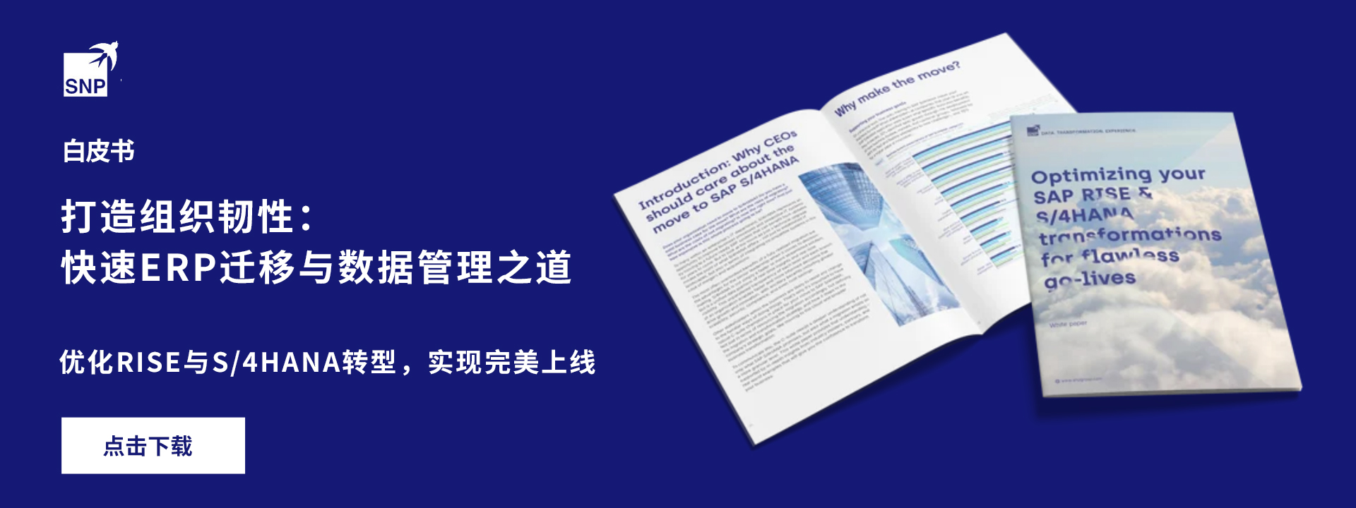 打造组织韧性:快速ERP迁移与数据管理之道