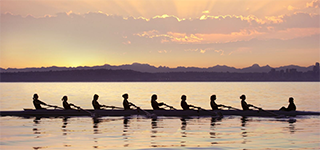 跨越边界的智慧：利用SNP软件驱动方法实现SAP系统全球与中国的敏捷整合